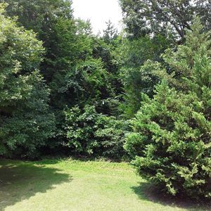 Meet your Posher, Odilio